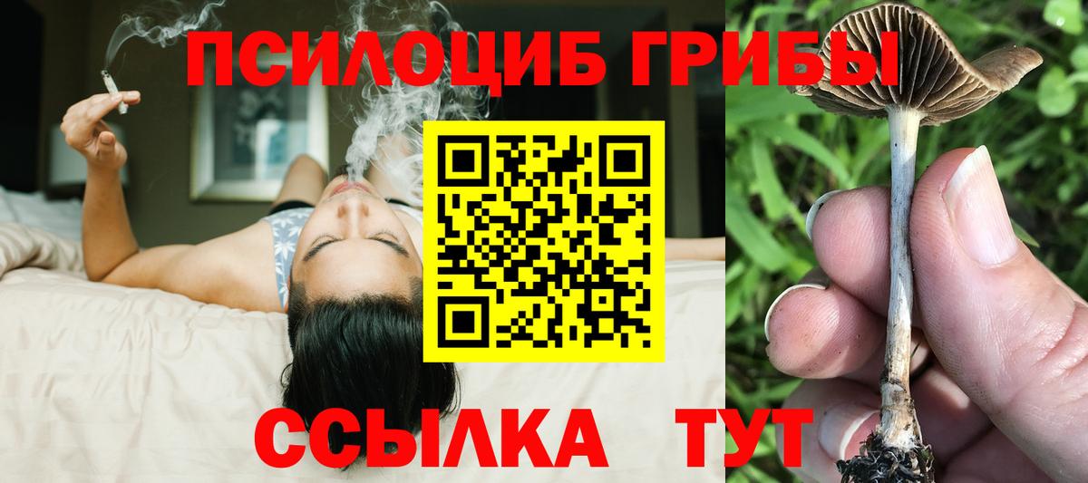 Галлюциногенные грибы Magic Shrooms Воронеж