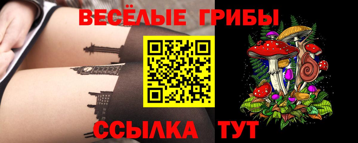 Галлюциногенные грибы Psilocybine cubensis  Вход с VPN  Галлюциногенные грибы мицелий  Воронеж 